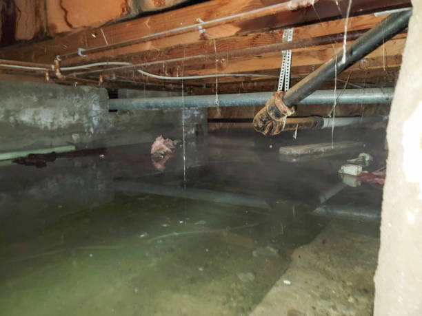 Best Water damage restoration cost  in Sneads, FL