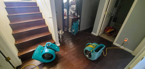 Best Residential water damage restoration  in Sneads, FL