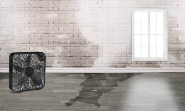 24/7 water damage repair in Sneads, FL