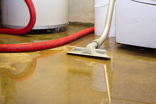 Best Water damage restoration mold remediation  in Sneads, FL
