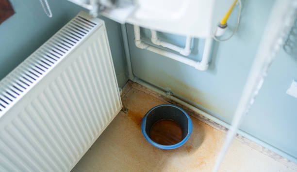 Best Local water damage restoration  in Sneads, FL