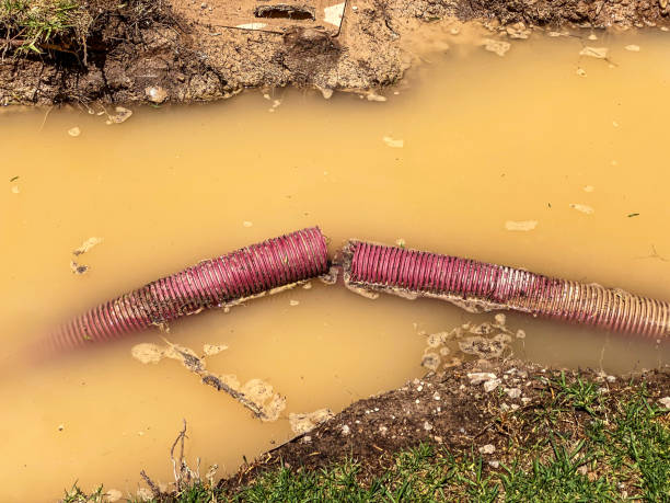 Best Water damage restoration near me  in Sneads, FL