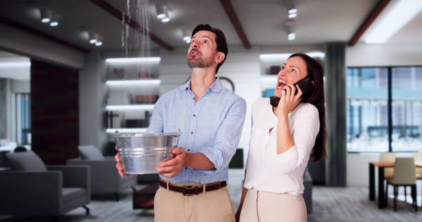 Best Sewage cleanup and water damage restoration  in Sneads, FL